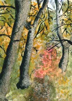 "Into The Woods" by Mary Hilgendorf, Middleton WI - Watercolor - SOLD